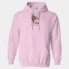 Heavy Blend Hooded Sweatshirt Thumbnail
